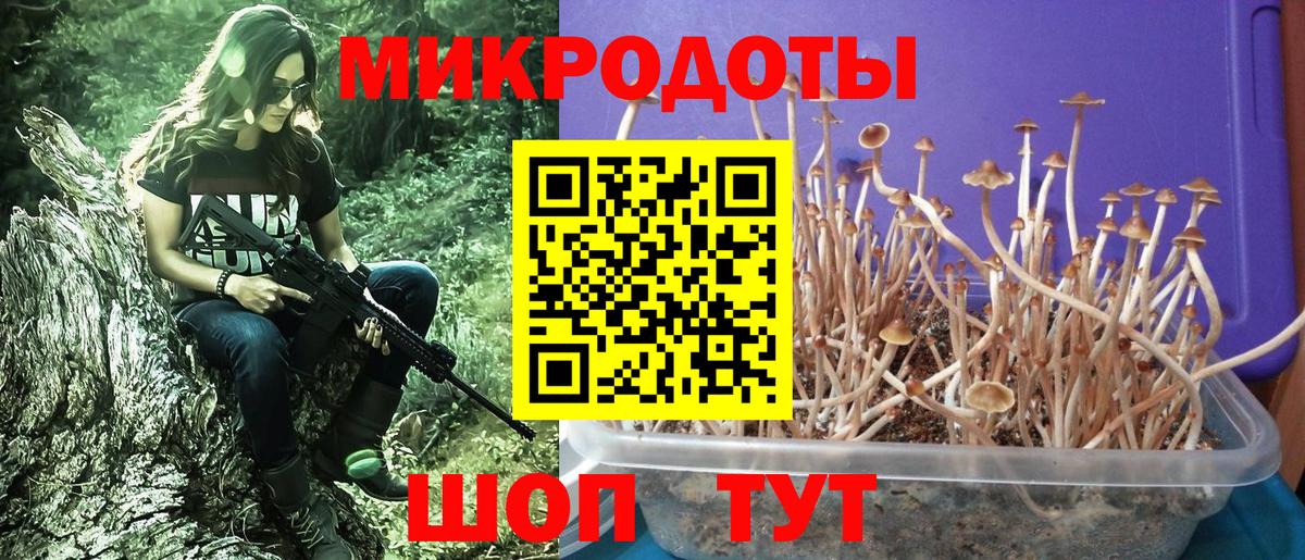 Галлюциногенные грибы прущие грибы Тюмень